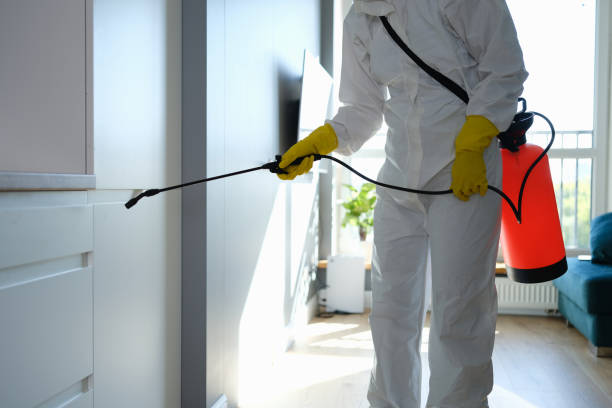 Best Certified Mold Removal  in Afton, MN